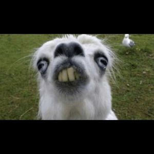 Meet your Posher, Evan